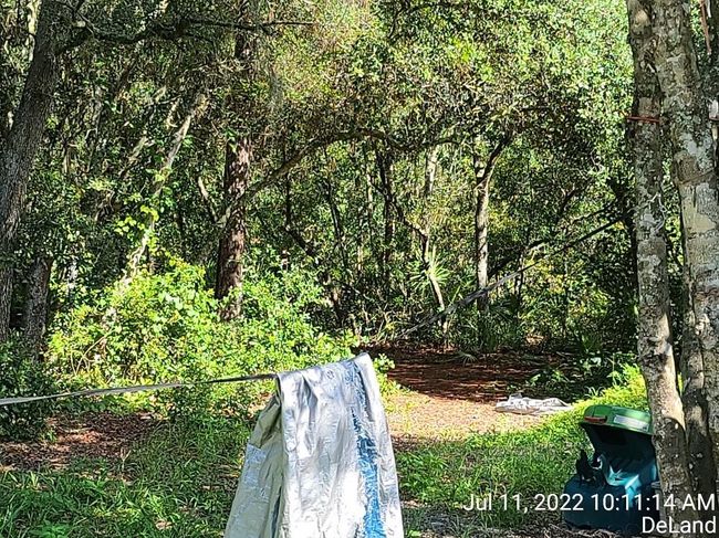 43041 Jewell Dr, House other with 3 bedrooms, 2 bathrooms and null parking in DELAND FL | Image 20
