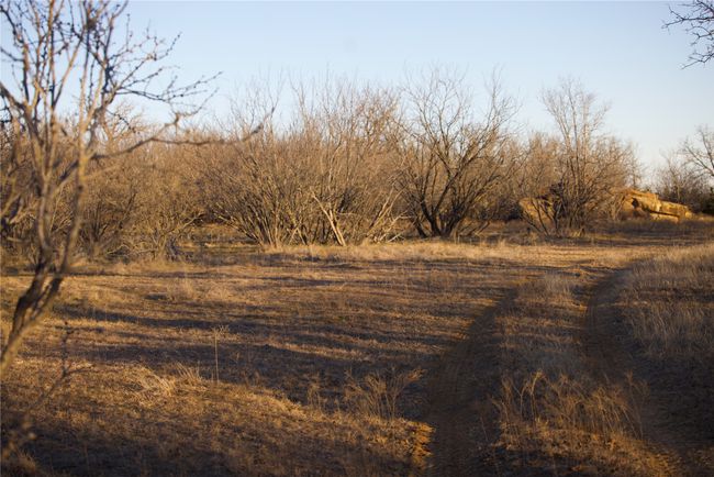 View of local wilderness featuring a rural view | Image 39