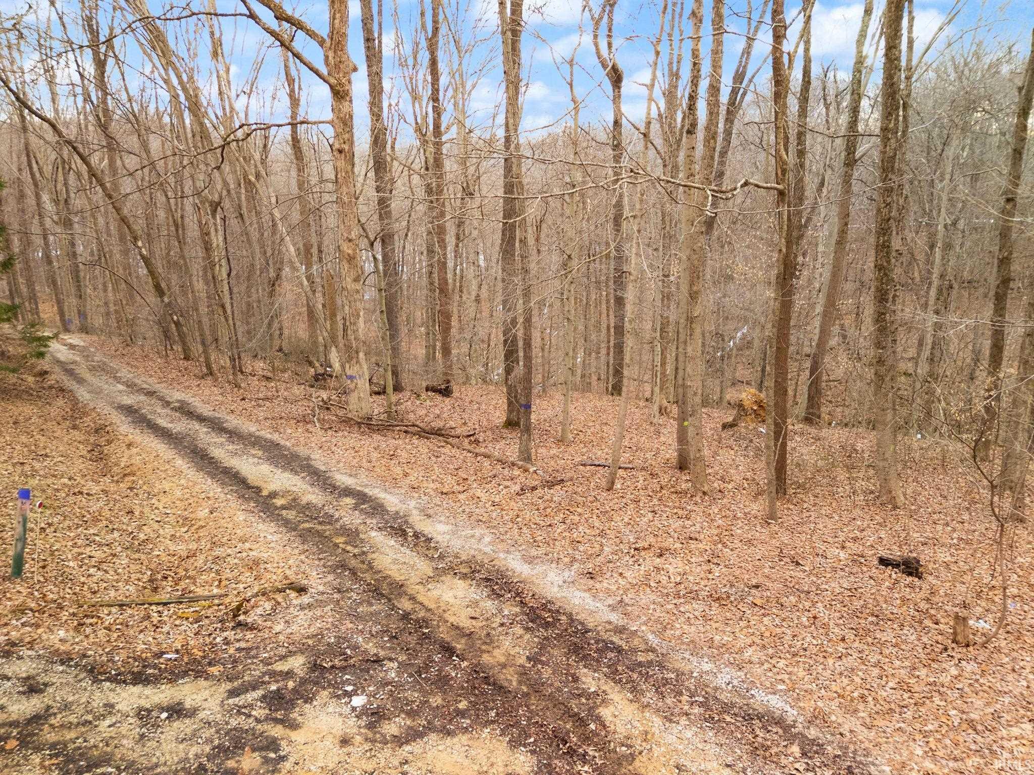 Land in Paoli 3