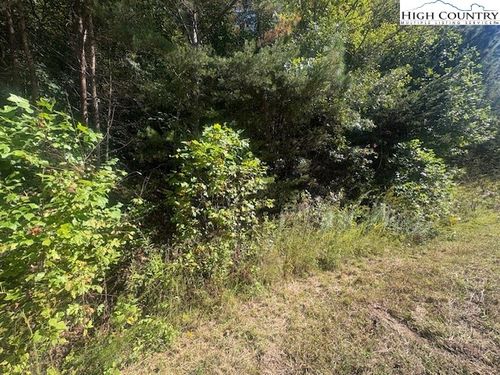 00 Parsonsville Rd, Purlear, NC, 28665 | Card Image