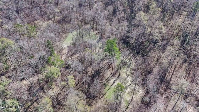 20250707195752672813000000-o | Image 20