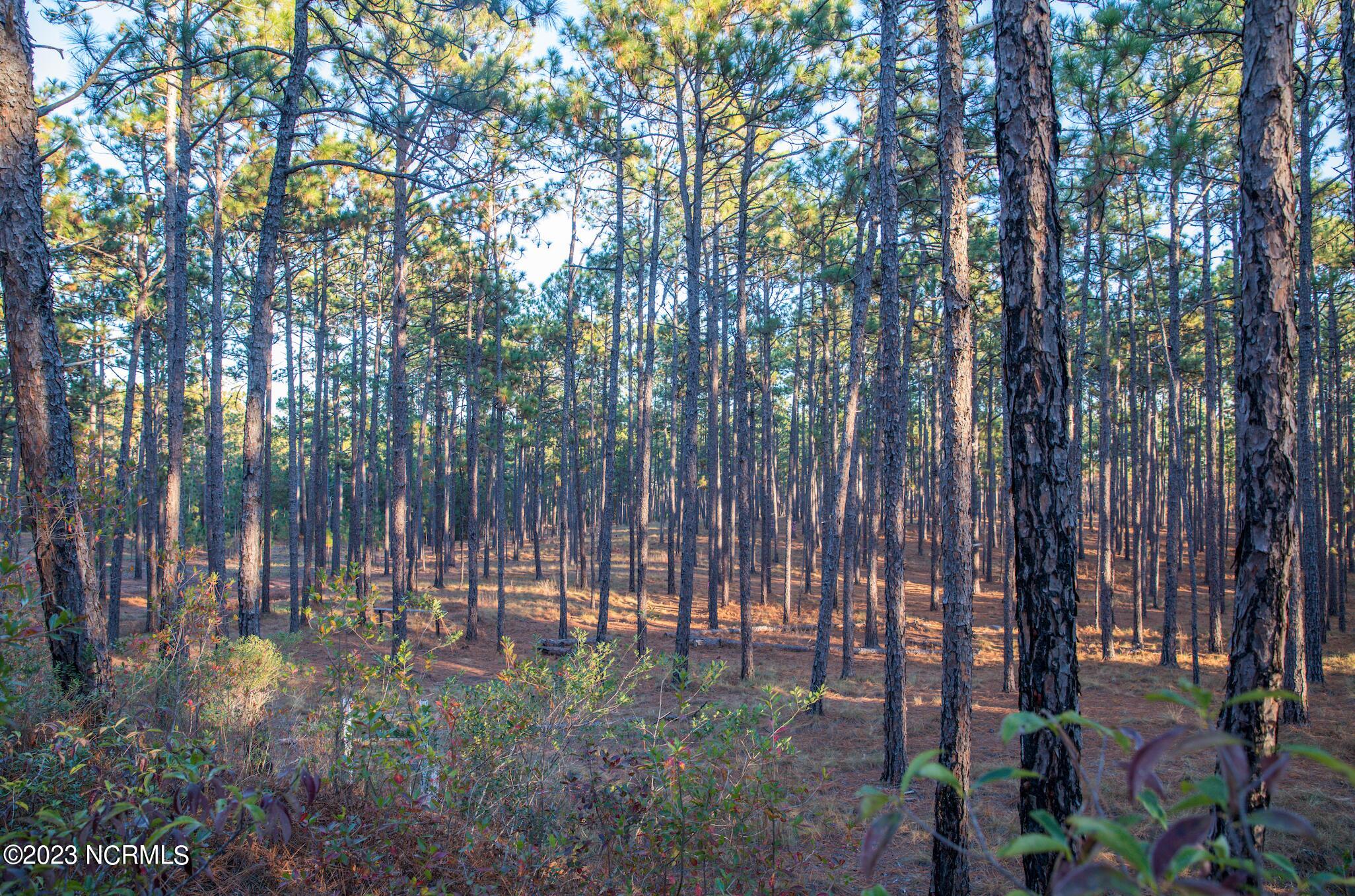 Land in Southern Pines