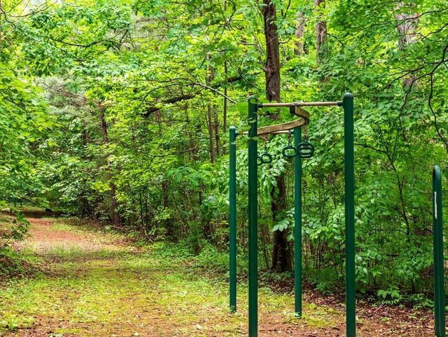 1400 Foxhound Trl Ne, Home with 0 bedrooms, 0 bathrooms and null parking in Ranger GA | Image 13