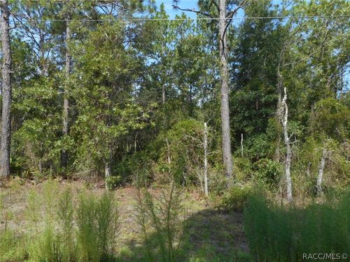 tbd 136 Terrace Sw, Dunnellon, FL, 34432 | Card Image