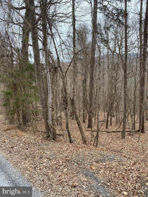 60 Old Oregon Rd, Front Royal, VA, 22630-3266 | Card Image
