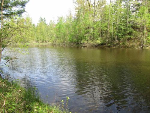 VL_199 W Caribou Trail, Churchill Township, MI, 48661 | Card Image