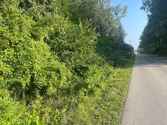 11000 Tecumseh Macon Rd, Home with 0 bedrooms, 0 bathrooms and null parking in Clinton MI | Image 11