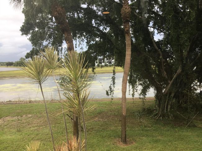 APT-207 - 4822 Esedra Ct, Condo with 2 bedrooms, 2 bathrooms and null parking in Lake Worth FL | Image 5