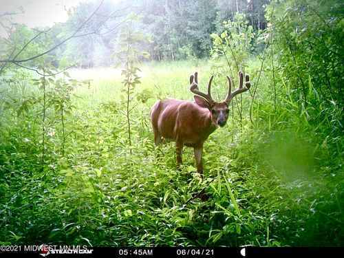 36933 285th Ave, Ogema, MN, 56569-9603 | Card Image