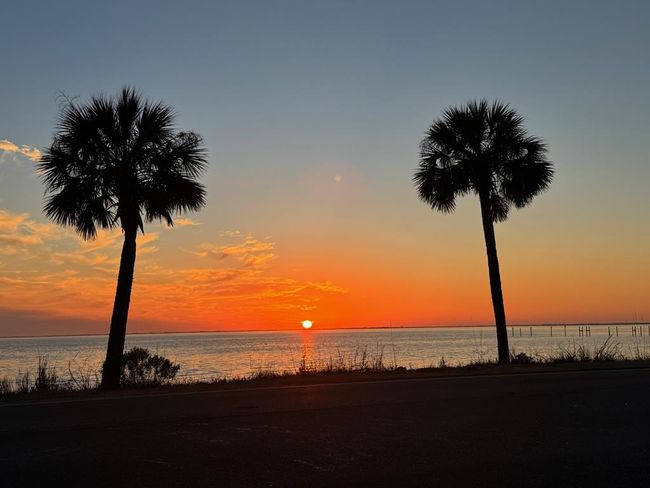 208 12 Th St, Home with 0 bedrooms, 0 bathrooms and null parking in Port St. Joe FL | Image 11