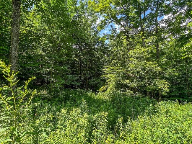 22+ Acres | Image 28