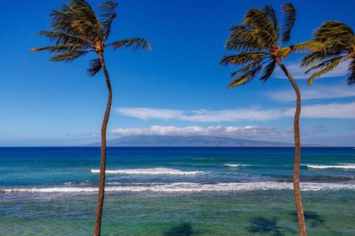 f303-3543 Lower Honoapiilani Rd, Lahaina, HI, 96761 | Card Image