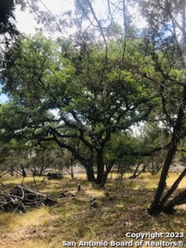 26 Mustang Crossing Dr, Home with 0 bedrooms, 0 bathrooms and null parking in Pipe Creek TX | Image 15