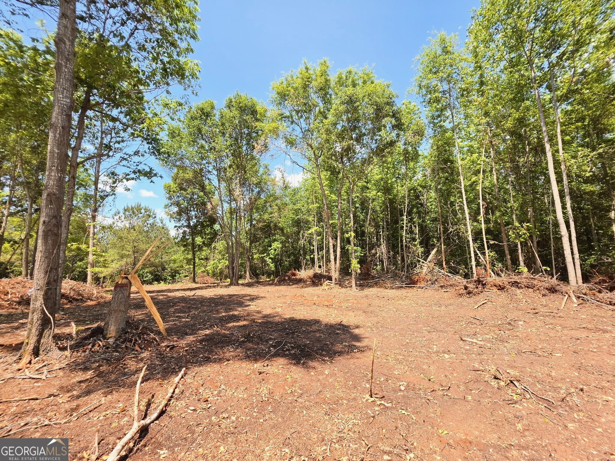 Land in Barnesville 4