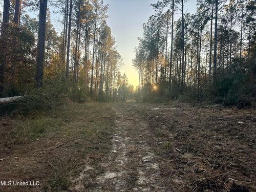 000 Monticello Rd, Wesson, MS, 39191 | Card Image