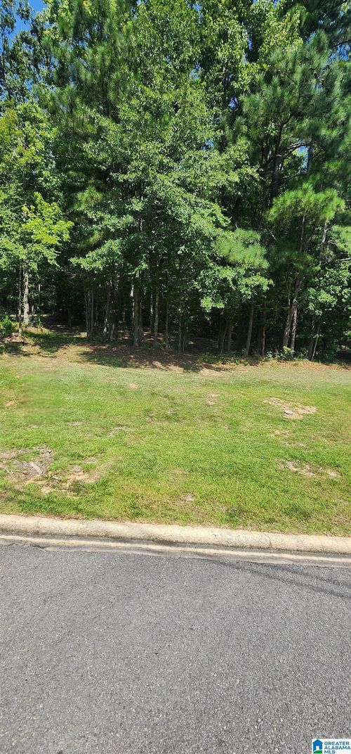 0-0 Quail Ridge Rd, ONEONTA, AL, 35121 | Card Image