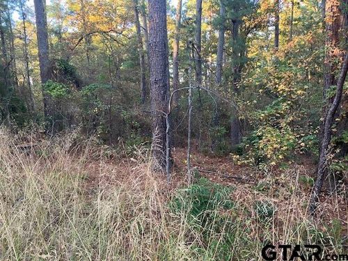 1657 Pineview Ln, Hideaway, TX, 75771-5317 | Card Image