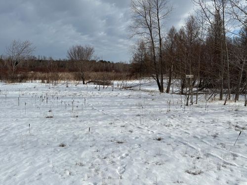 lot 13 Irvine Avenue Nw, Bemidji, MN, 56601 | Card Image