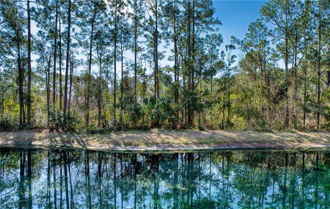 VIEW OF POND FROM CONDO! | Image 7
