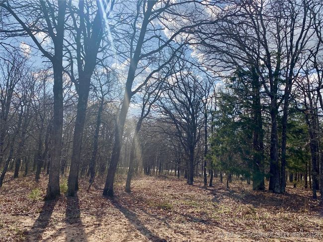 2 State Highway 76, Home with 0 bedrooms, 0 bathrooms and null parking in Wilson OK | Image 15