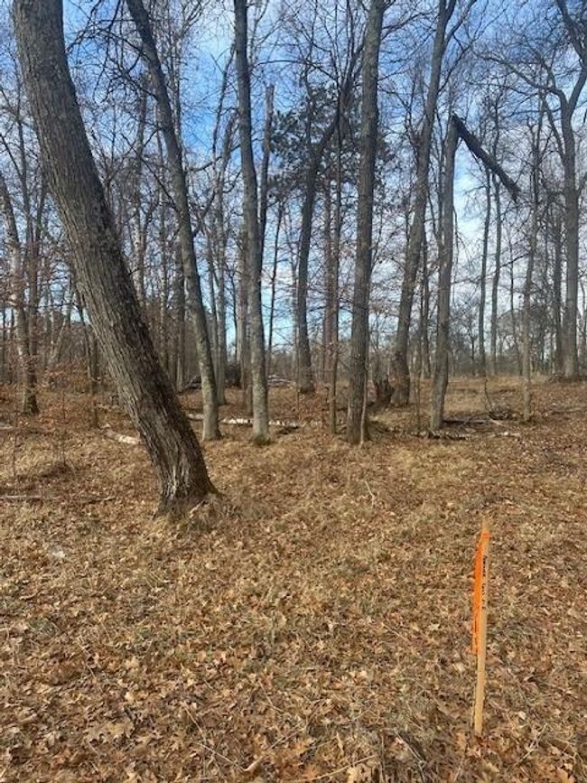 2 Shady Lane, Home with 0 bedrooms, 0 bathrooms and null parking in Crosslake MN | Image 11