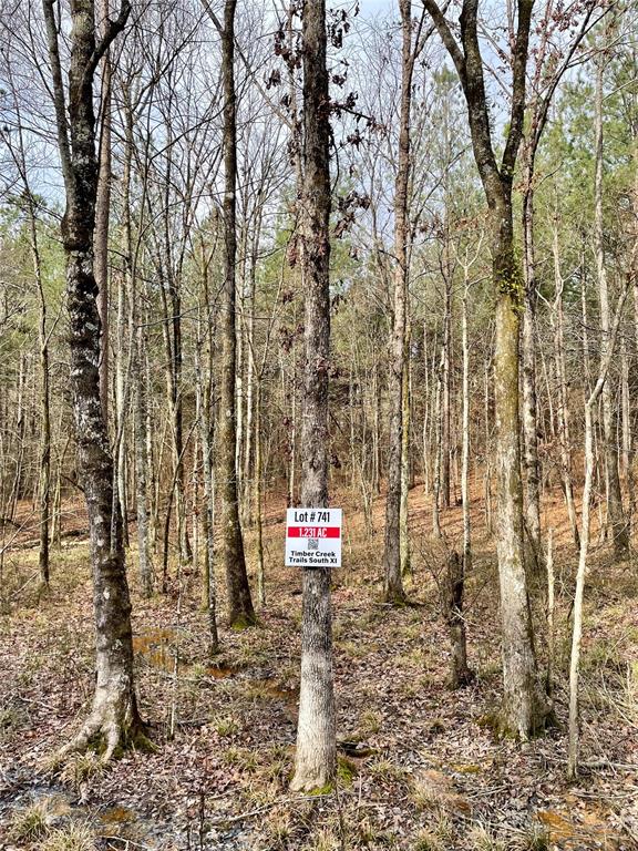 Land in Broken Bow 4
