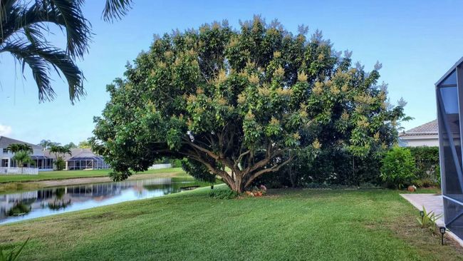 11174 Winding Pearl Way, House other with 5 bedrooms, 3 bathrooms and null parking in Wellington FL | Image 33