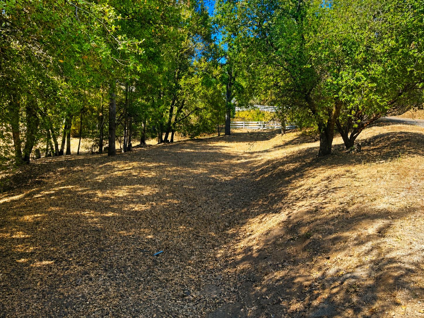 Residential in Oakhurst 5