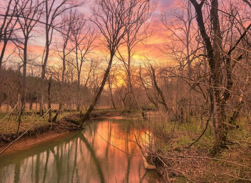 1205 Turner Rd, Williamstown, KY, 41097-4121 | Card Image