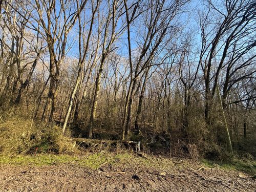0 County Road 91, Bryant, AL, 35958 | Card Image