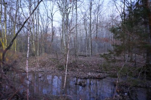 4 John Ross Hollow Ln, Erin, TN, 37061 | Card Image