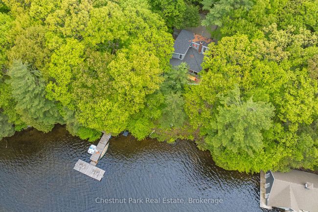 1066 Apiary Rd, House other with 4 bedrooms, 2 bathrooms and 6 parking in Port Carling ON | Image 39