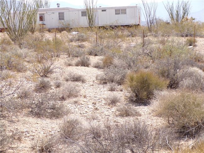 Yard | Image 19
