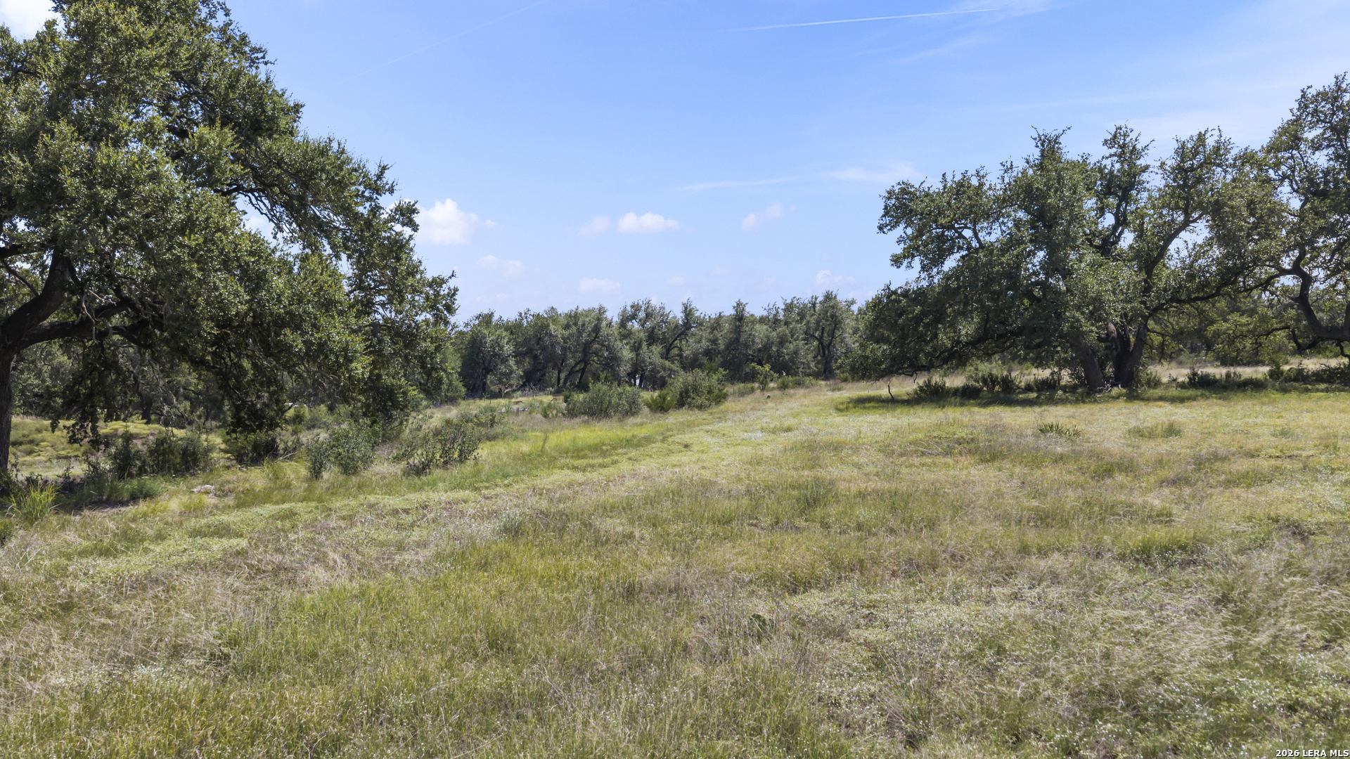 Land in Spring Branch 5