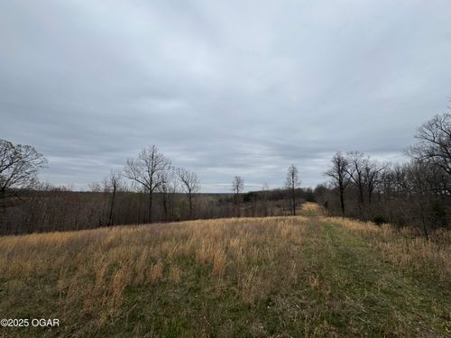 000 Buckeye Ln, Stella, MO, 64867 | Card Image