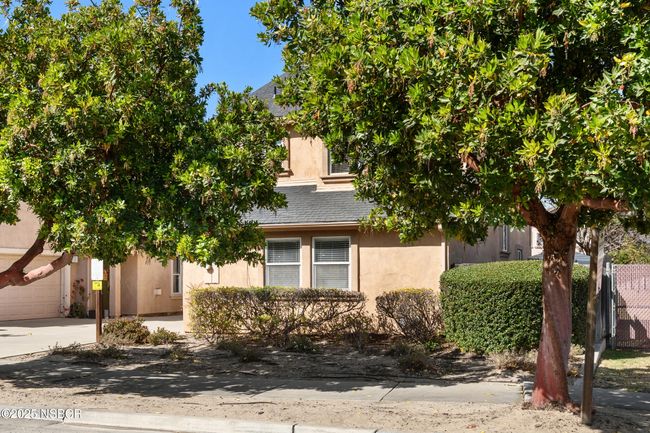 3_249 colt ln-3 | Image 21