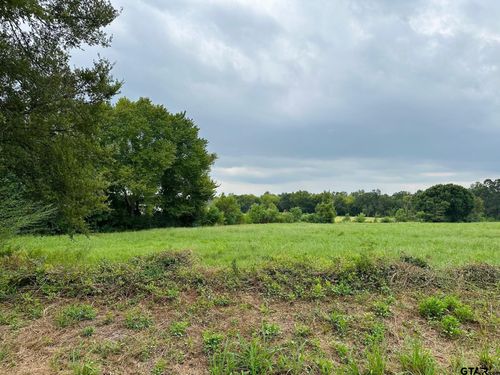 TBD C R 192, Tyler, TX, 75703 | Card Image