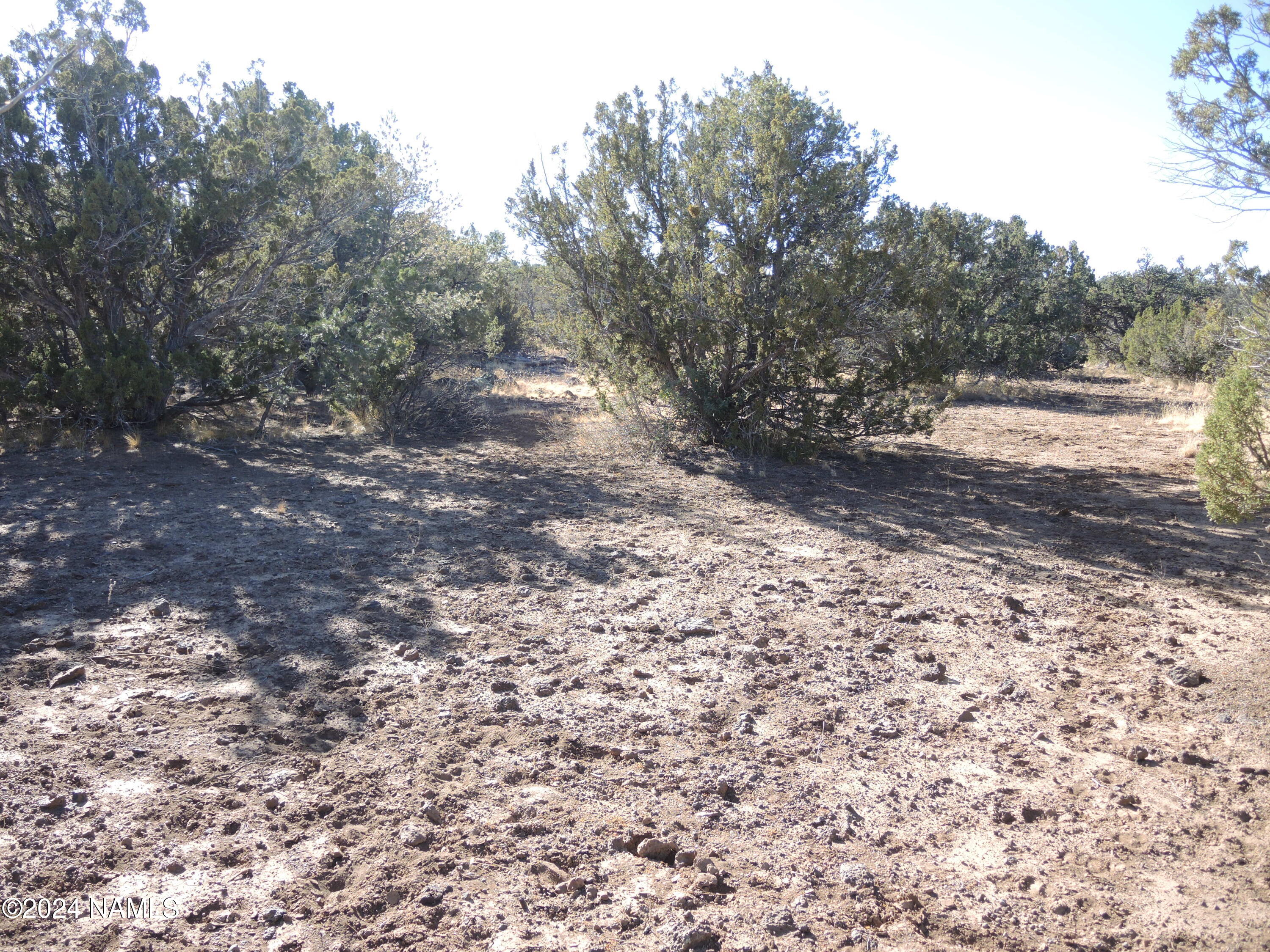 Land in Williams 3