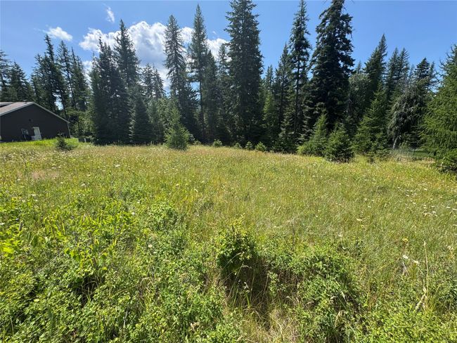 13643 Sundance Trail, Bigfork, MT 59911 | Image 13