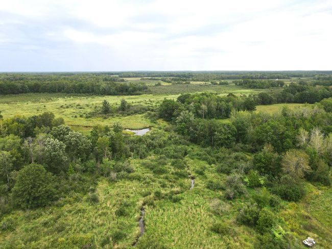 dji_fly_20240822_104440_573_1724341492623_photo.jpeg | Image 19