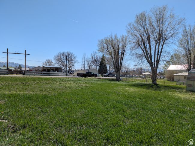 View of yard | Image 4