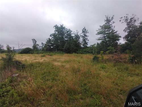 Tract 4 Off Highway O, Belleview, MO, 63623 | Card Image