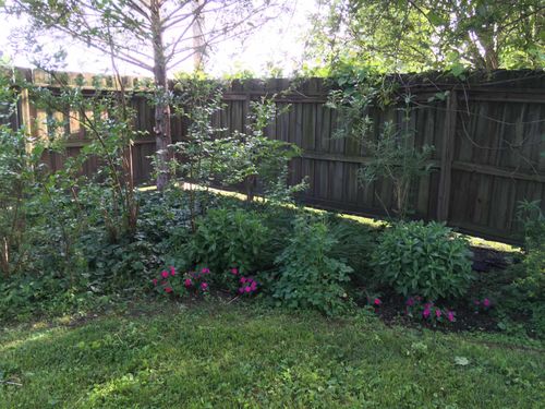 204 S 17th St Street, Murphysboro, IL, 62966 | Card Image