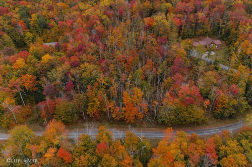 177 Cabin Mountain Road, Davis, WV, 26260 | Card Image