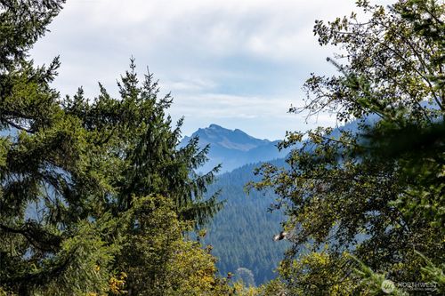 199 Hinkle Tinkle Ln, Packwood, WA, 98361-9762 | Card Image