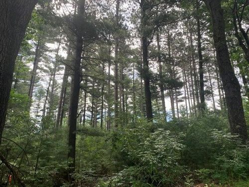 22.35AC On Beaver Avenue, BIG FLATS, WI, 54457 | Card Image