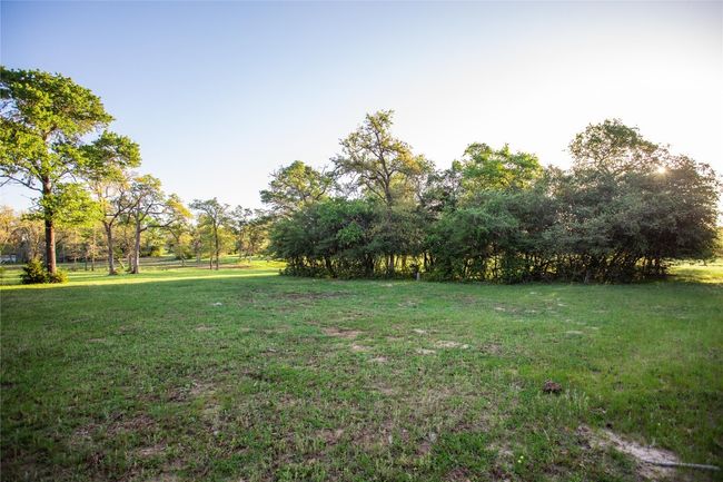 View of grassy yard | Image 19