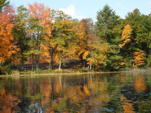 W606 Joe Johnson Road, Menominee, WI, 54174 | Card Image