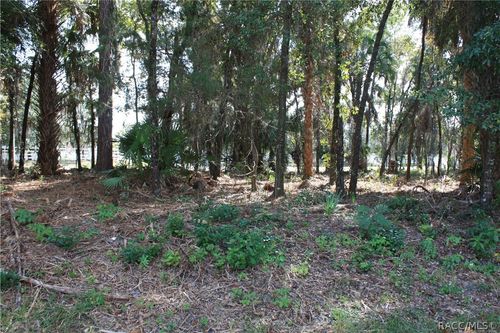 9249 W Ozello Trl, CRYSTAL RIVER, FL, 34429-8020 | Card Image