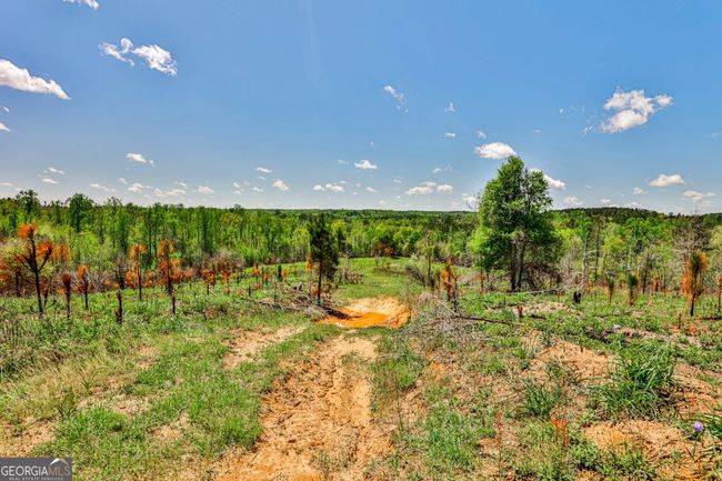 0 Kemp Rd, Home with 0 bedrooms, 0 bathrooms and null parking in Buena Vista GA | Image 19